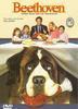 Beethoven, uno ms de la familia