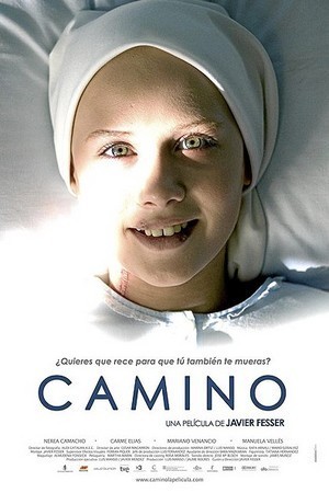 Camino imagen de Camino